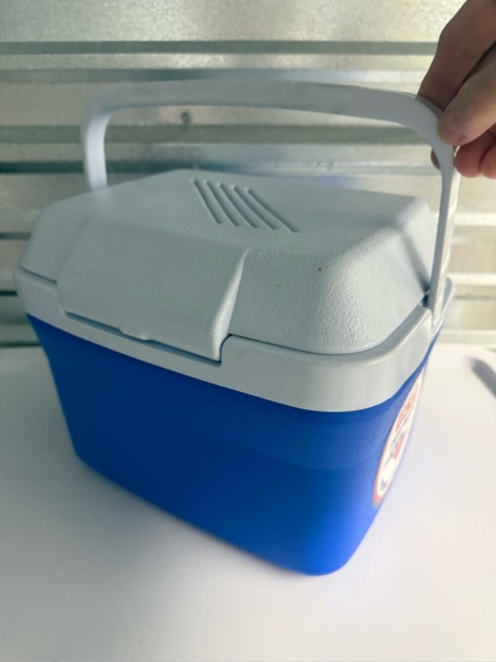 Rubbermaid Model 1826 vintage personal lunch cooler made in the USA 1990s.